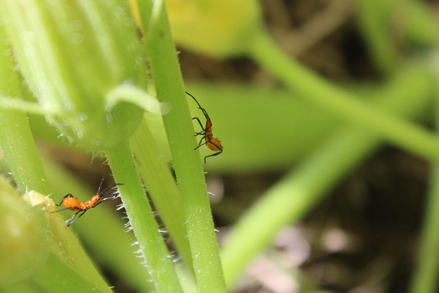 Diyarbakır Nakliyede Profesyonel ve Hızlı Hizmet Seçenekleri Diyarbakır Nakliyede Profesyonel ve Hızlı Hizmet Seçenekleri