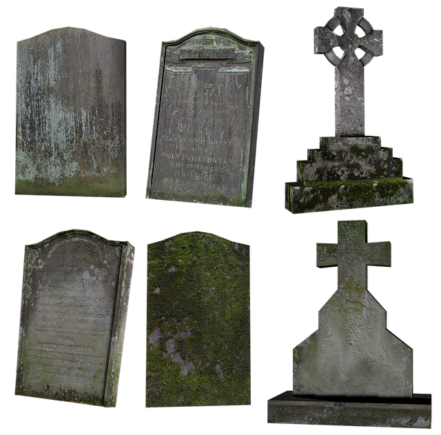 Diyarbakır Nakliyede Taşıma Hizmetleri İçin Profesyonel Destek