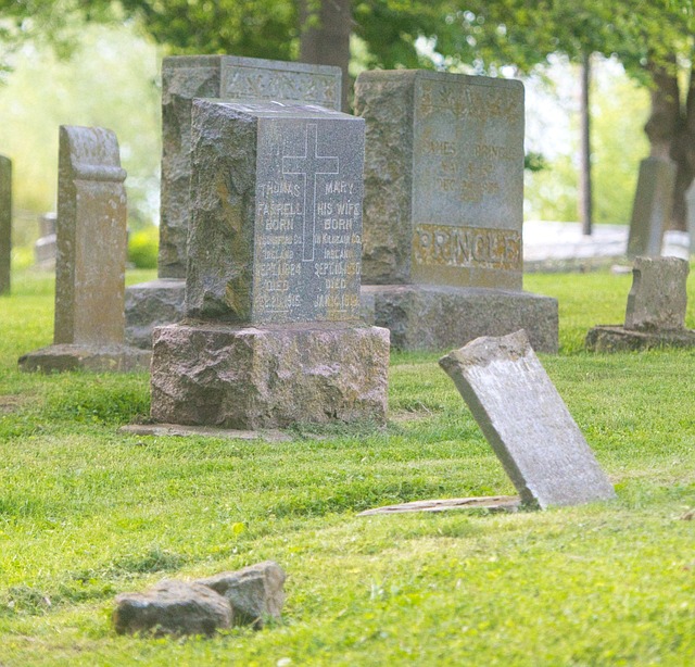 Diyarbakır Nakliyede Taşıma Hizmetlerinde Kalite Standartları