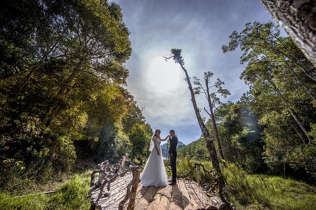Diyarbakır’da Taşınırken Eşyalarınızı Korumanın Yolları Diyarbakır’da Taşınırken Eşyalarınızı Korumanın Yolları