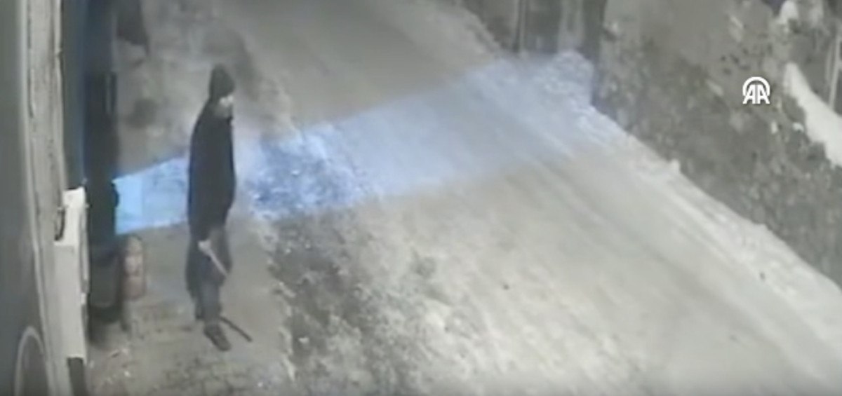 erzurumda yerlesim yerine inen kurtlar sokakta yiyecek aradi 0 1t6REK4Q