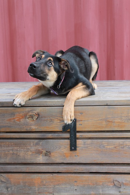 Ev Taşırken Zaman Kazandıran Diyarbakır Nakliye Çözümleri Ev Taşırken Zaman Kazandıran Diyarbakır Nakliye Çözümleri