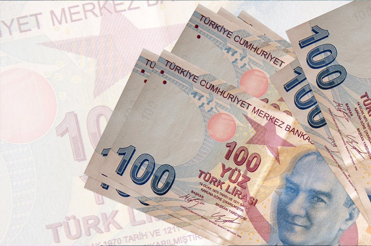 issizlik sigortasi fonundan buyume rekoru 0