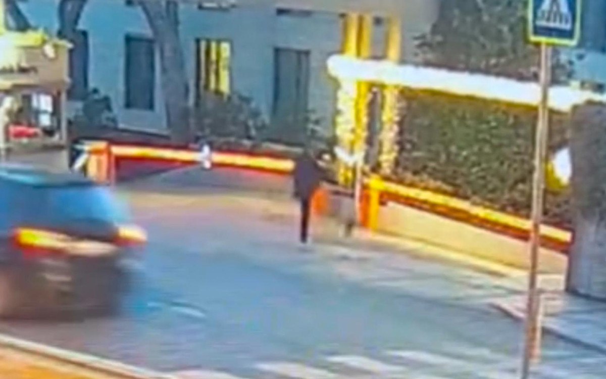 istanbul besiktasta kediyi tekmeleyen supheli yakalandi 1 jiQKDDkH