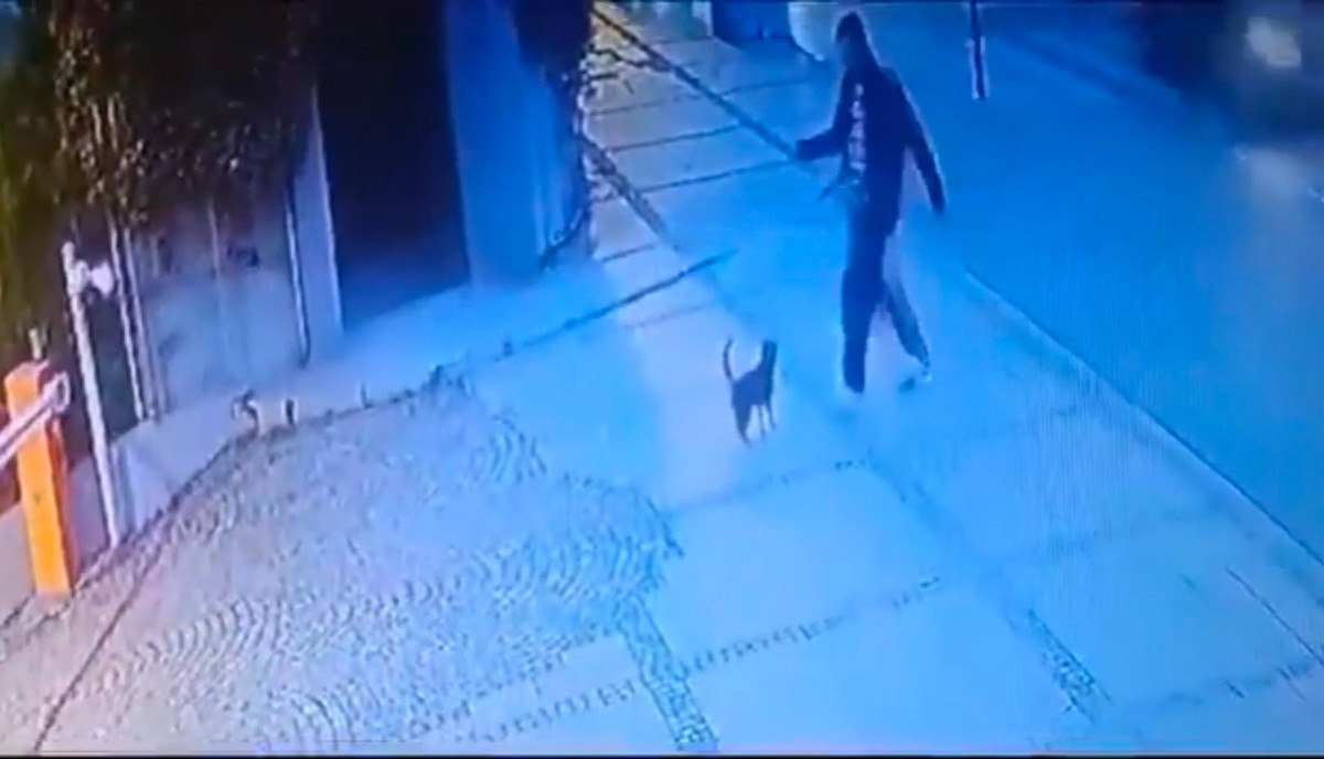 istanbulda kediyi tekme atarak yaralayan sahis araniyor 1 8gXLuUOM