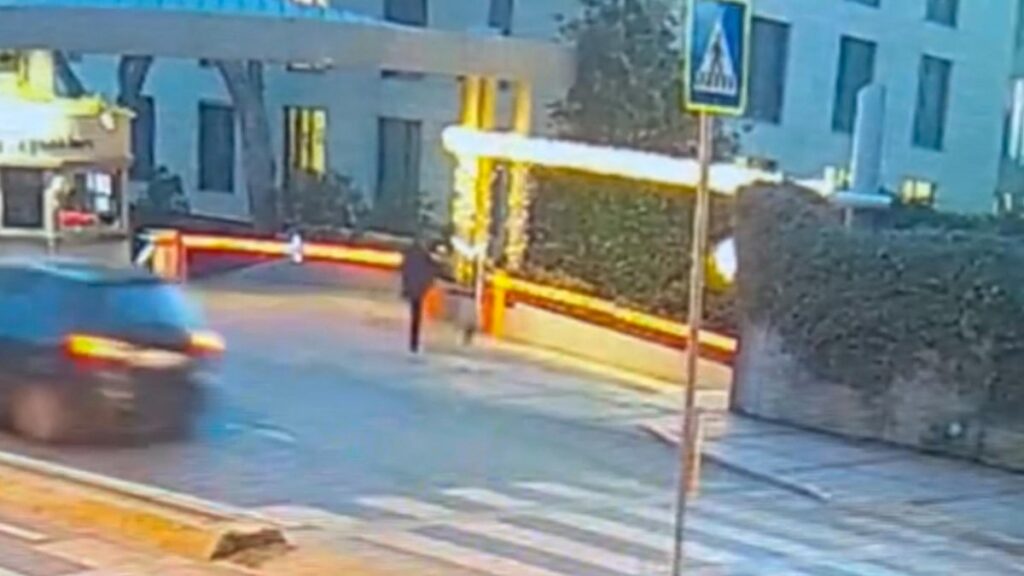 İstanbul'da kediyi tekme atarak yaralayan şahıs aranıyor 5 istanbulda kediyi tekme atarak yaralayan sahis araniyor jBFceMzX