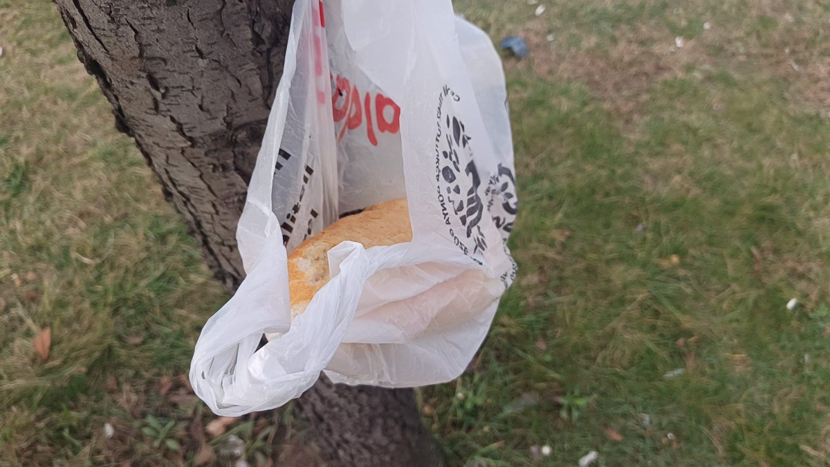 orduda otomobil yayaya carpti 3 yarali 2 ELiMGMud