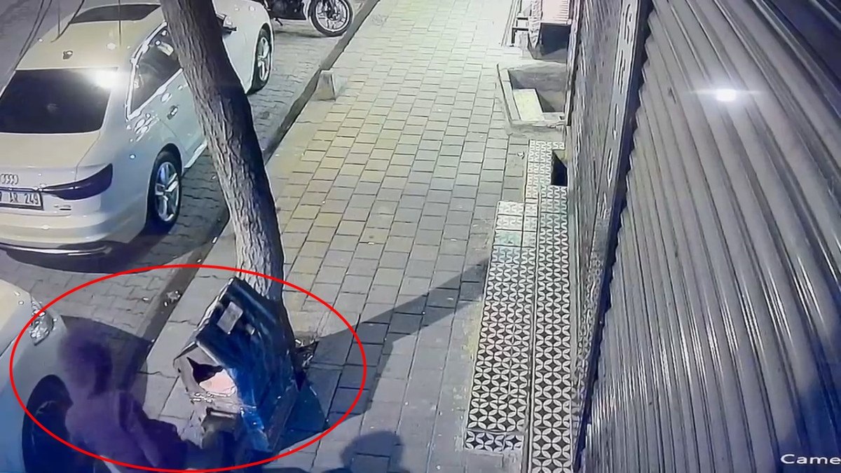 siirtte bir sahis kaldirimdaki kedi evini tekmeleyerek zarar verdi 0 vArL6L6W