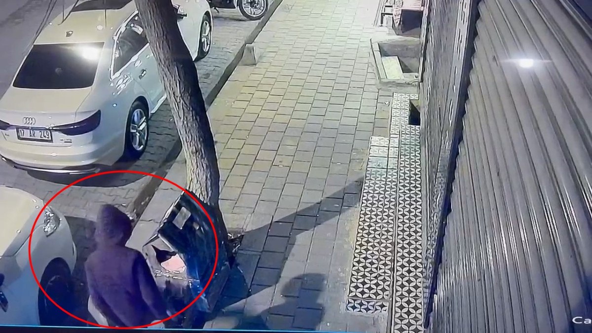 siirtte bir sahis kaldirimdaki kedi evini tekmeleyerek zarar verdi 1 zJ4d8jXj