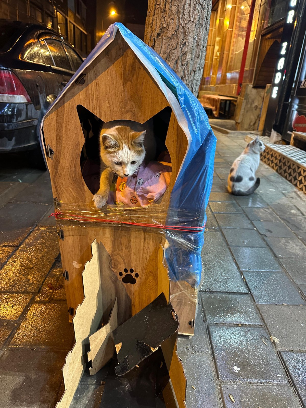 siirtte bir sahis kaldirimdaki kedi evini tekmeleyerek zarar verdi 6 EEQbaF7w