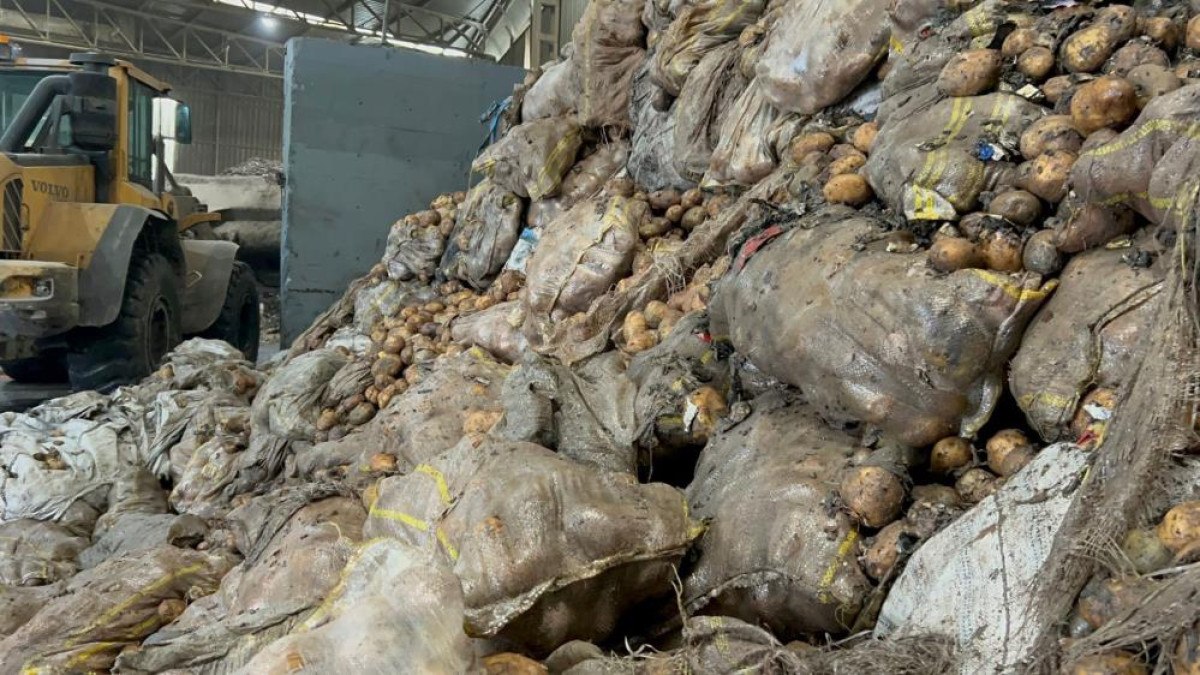 tunusa ihrac edilen 400 ton patates mersinde imha edildi 0 hvQaU1tA