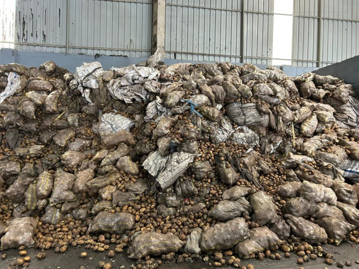 tunusa ihrac edilen 400 ton patates mersinde imha edildi 1 qiWZZk8f
