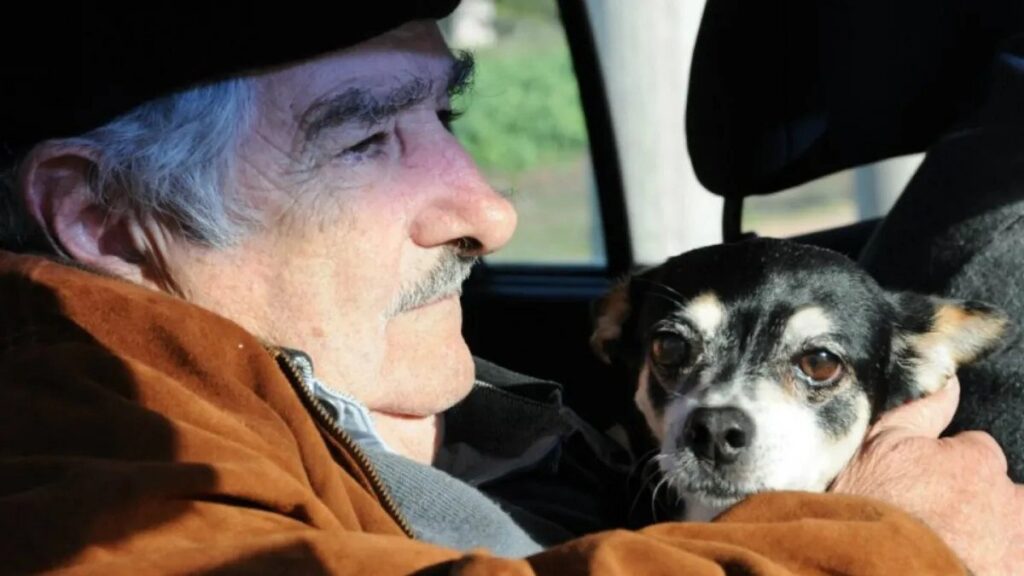 uruguay eski baskani jose mujica kanser tedavisini reddetti kopegimin yanina gomulmek istiyorum 6DUxQN81
