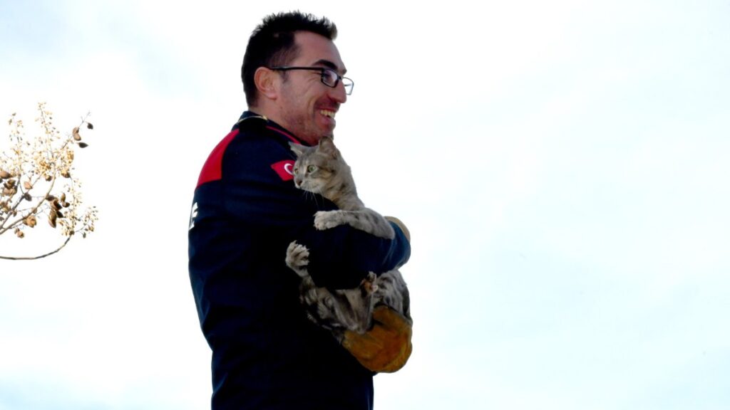 Zonguldak'ta korkmuş kedi, kendisini kurtaran itfaiyeciyi bırakmadı 2 zonguldakta korkmus kedi kendisini kurtaran itfaiyeciyi birakmadi fbvKrHLr